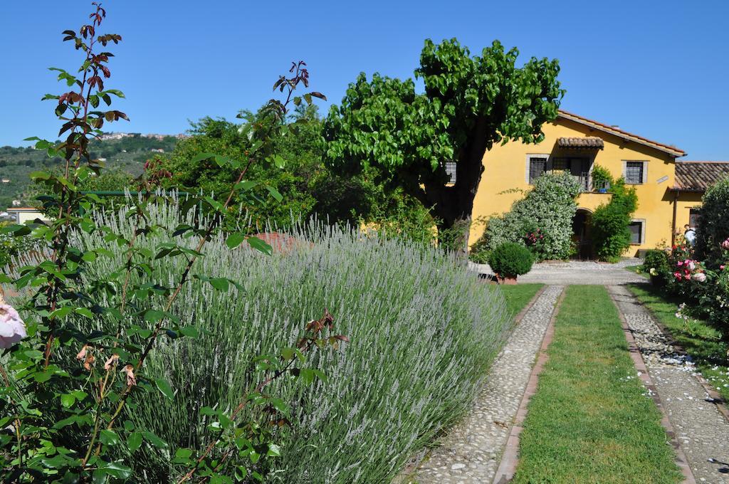 Sfizi DI Bufala E Natural Beauty