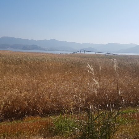 Sinseongri Reed Field