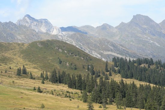 Sentiero delle Malghe di Racines