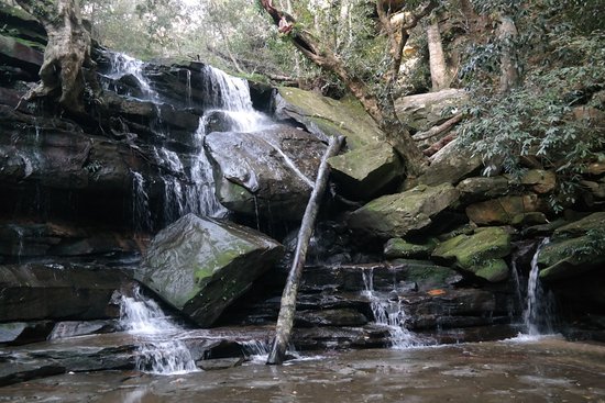 Somersby Falls Picnic Grounds