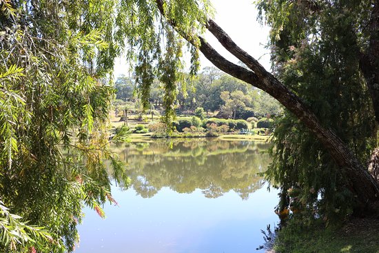 Vumba Botanical Gardens and Reserve