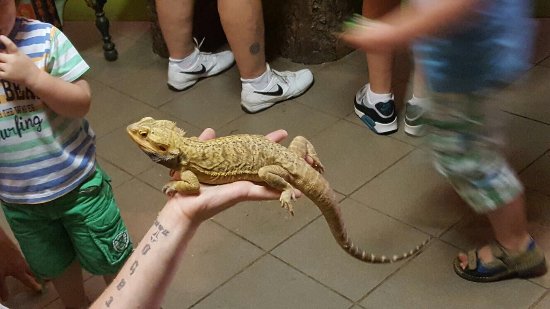 Zoo Bizar