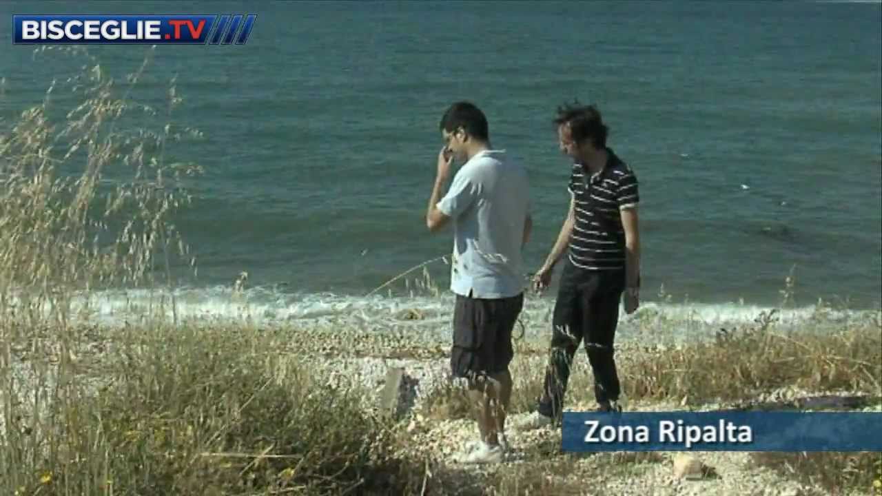 Zona Pantano-Ripalta