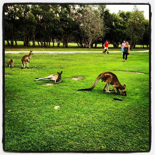 Yamba Golf and Country Club