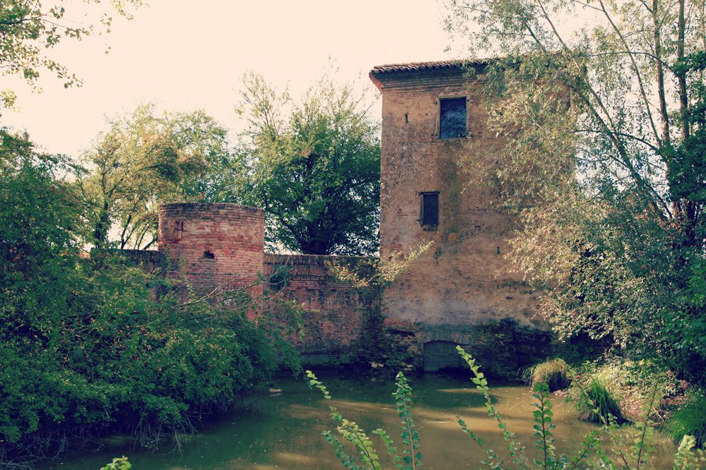 Valli di Novellara e Reggiolo