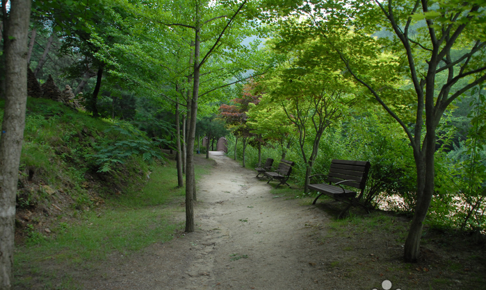Outdoor Pictures 1