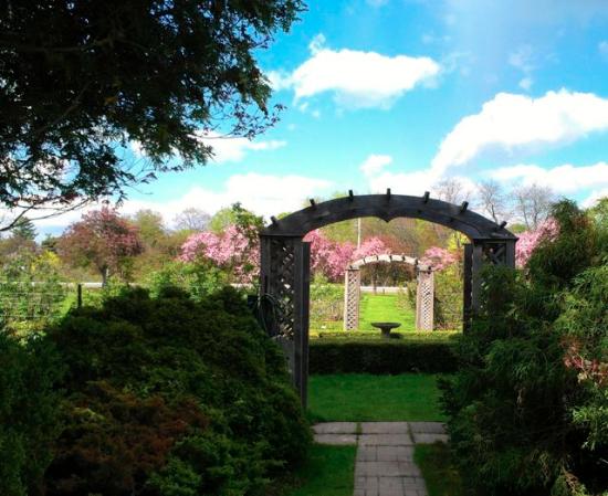 Arboretum (Experimental Farm)