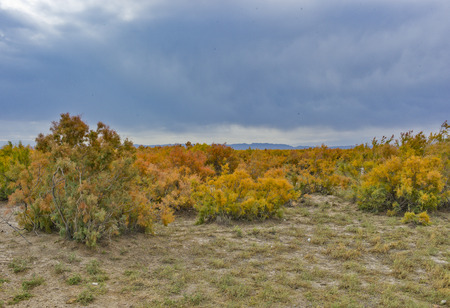 Jihan Desert National Nature Reserve of Anxi, Gansu