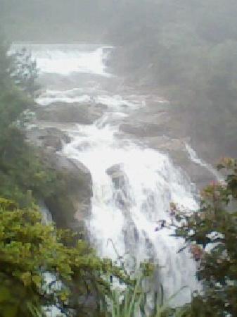 Mt. Liangye National Nature Reserve