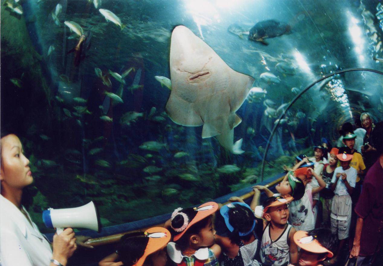 Xiamen Underwater World