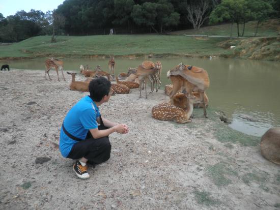 Xiamen Haicang Wild Zoo