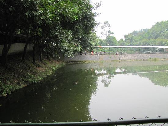 Sanshui Forest Park
