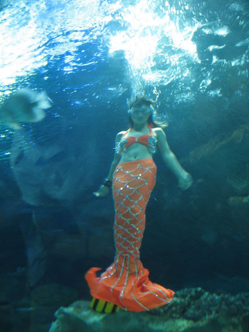 Beijing Gongti Richina Underwater World(Blue Zoo Beijing)