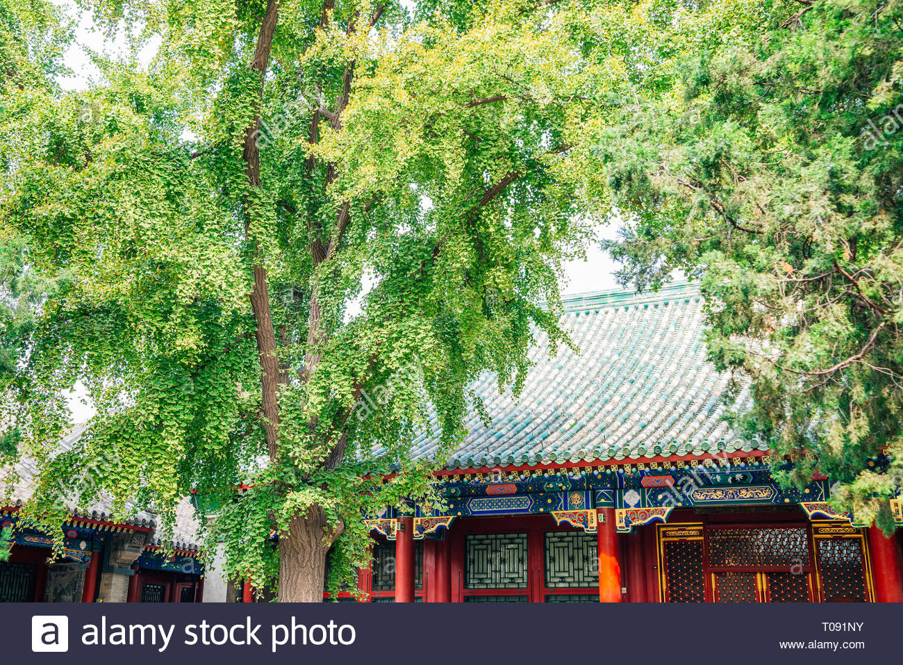 Gong Wang Fu