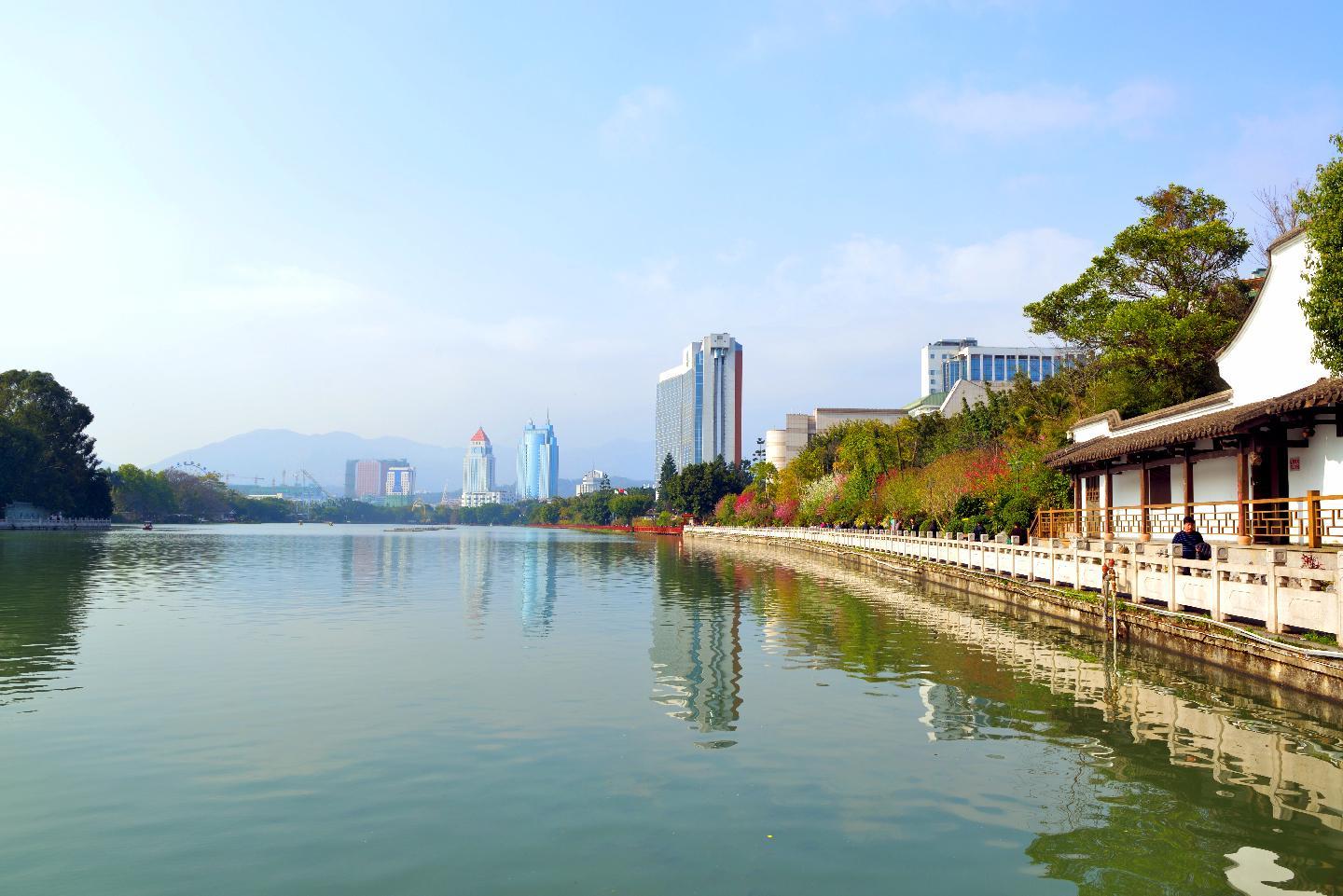 Fuzhou Bird-lam