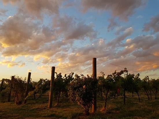 Hunter-Gatherer Winery