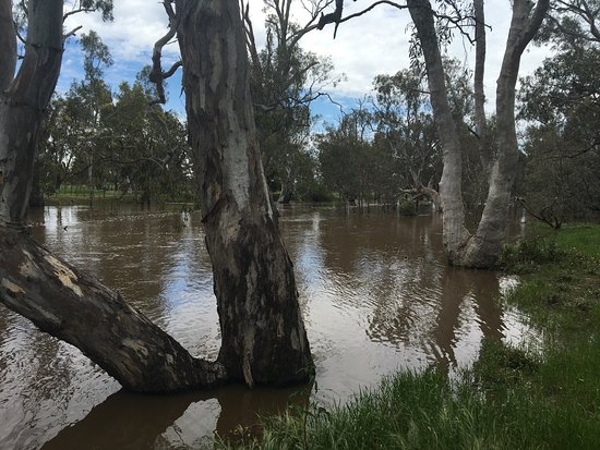 Weir Park
