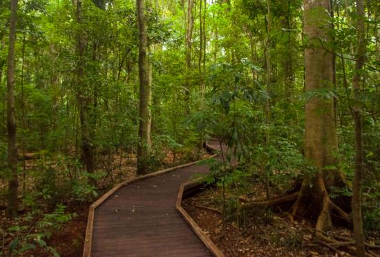 Victoria Park Nature Reserve