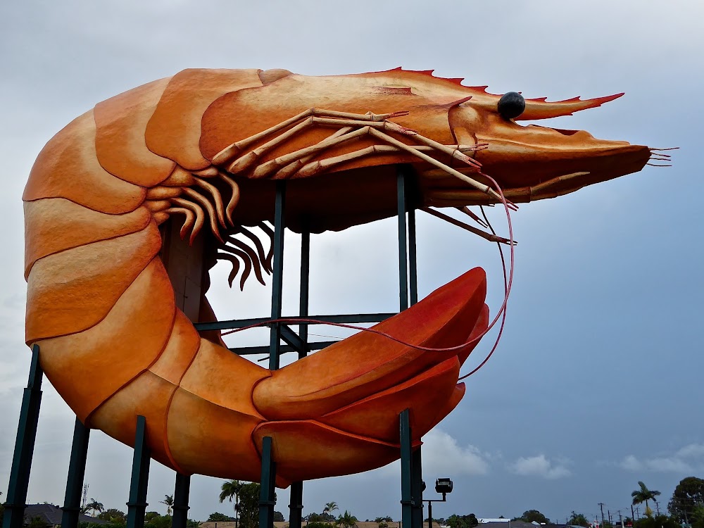 Big Prawn