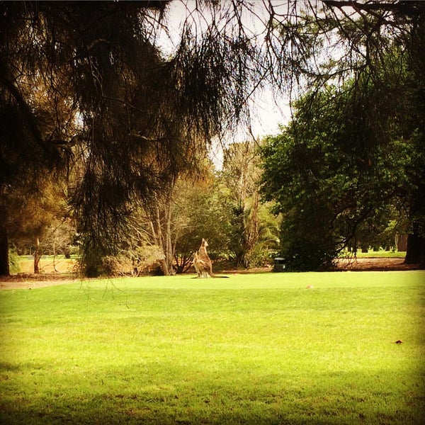 Catalina Country Club