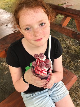 Bright Berry Farms