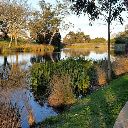Lake Cobden