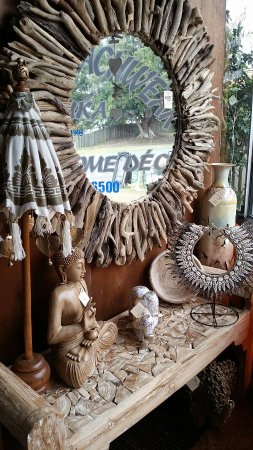 Iguana Beachwear Gifts & Home Decor