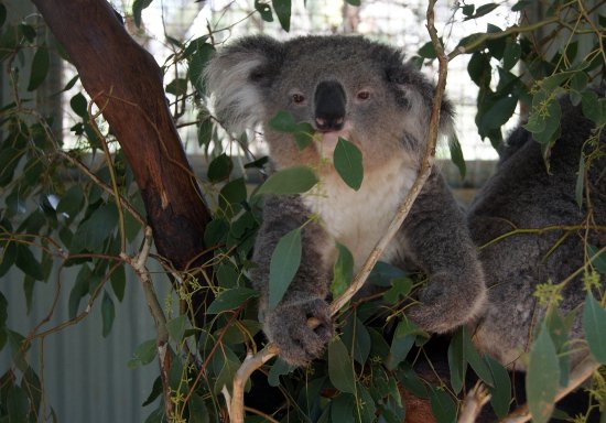 Waterways Wildlife Park