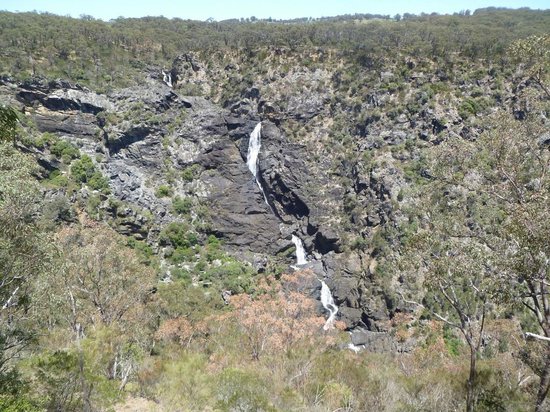 Tia Falls