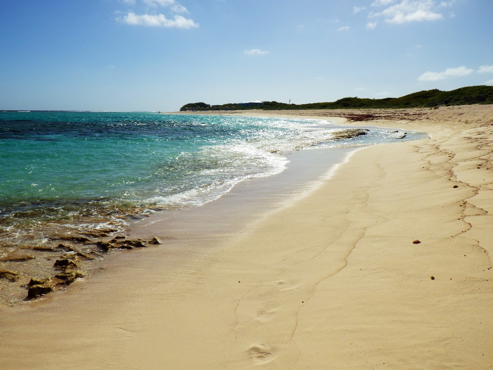 Loblolly Bay