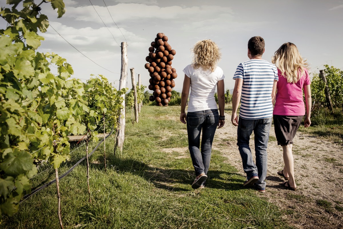 Weinweg Langenlois