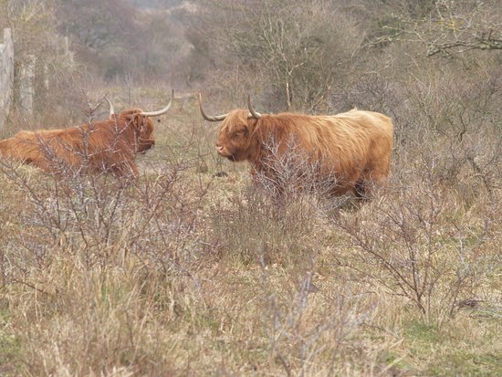 Nature Reserve of Westhoek