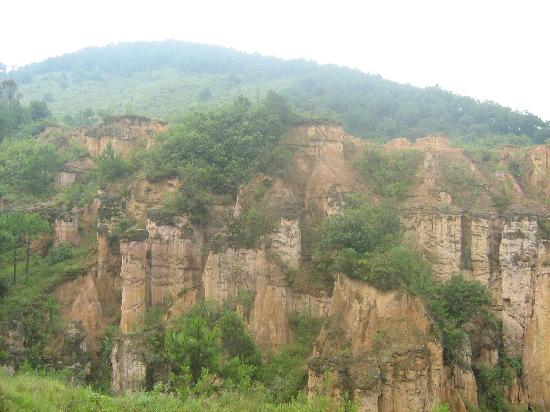 Huanglian Earth Forest