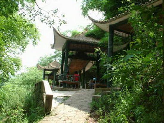 Outdoor Pictures 1