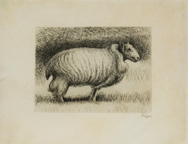 Moore department Store (sheep of the West)