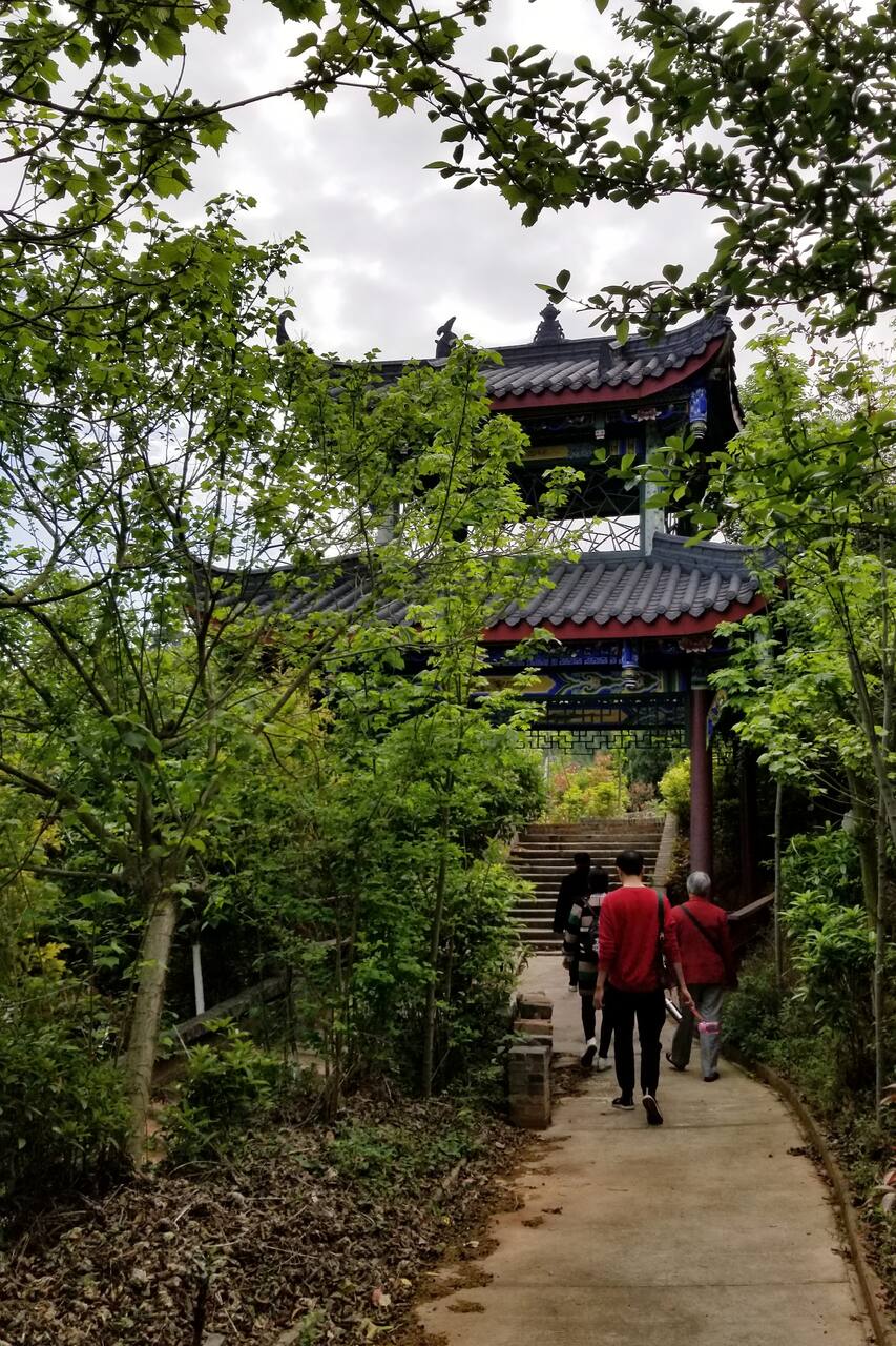 Tai Yi Xian Shan Botanic Gardens