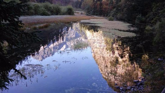 Jianyuan Virgin Forest