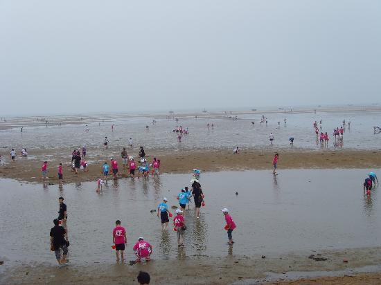 Rizhao Liujiawan Seahunting Spot