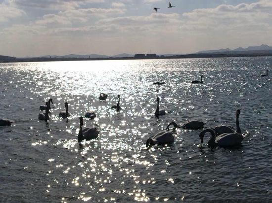 Rongcheng Tian'e Lake