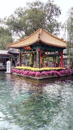 The World Best Spring Scenic Area