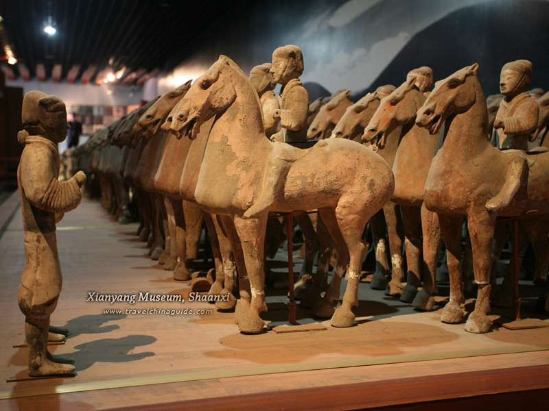 Medical History Museum of Shaanxi