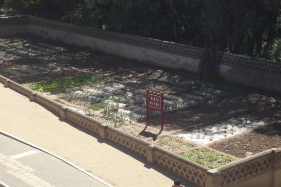 Zaoyuan Revolutionary Site of Yan'an