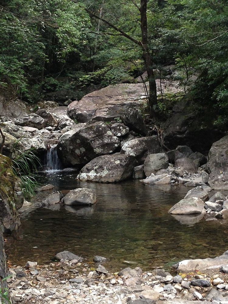 Wuyanling National Nature Reserve of Zhejiang