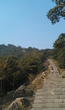 Tiantong National Forest Park