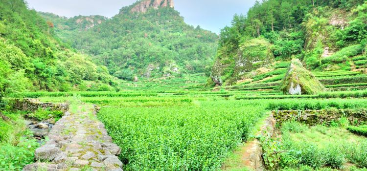 Qianzhang Canyon