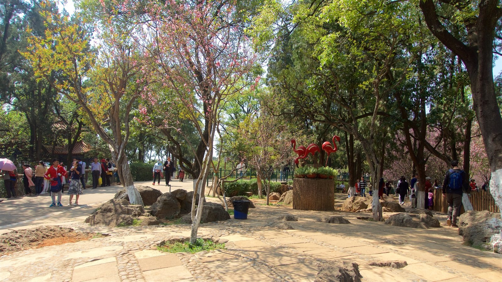Kunming Zoo