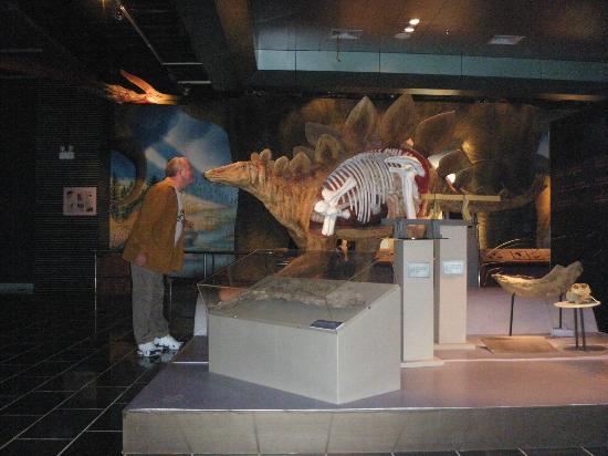 Yunnan Geological Museum