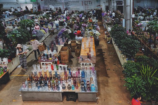 Dounan International Flowers Industrial Park