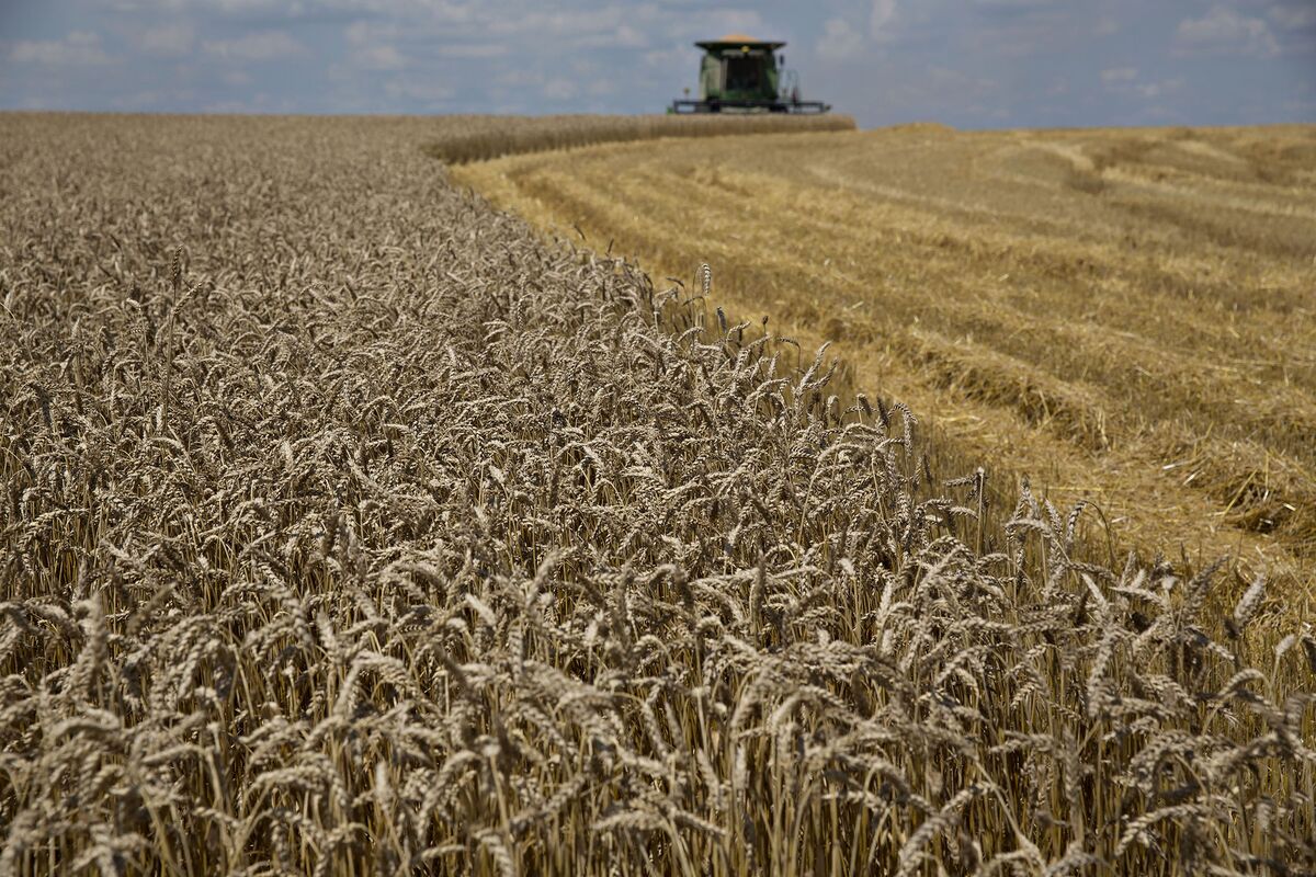 Wheat farmers ' Market
