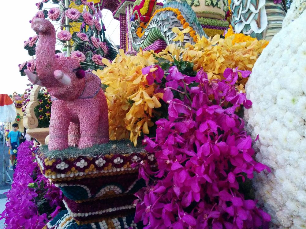 Tianjin University Begonia Flower Festival